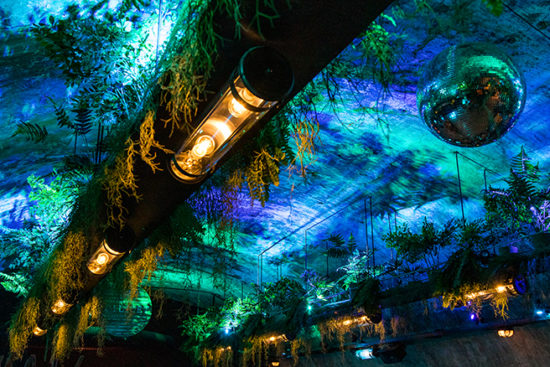 Eclairage colorée Scilicet